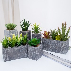 all\'ingrosso pianta succulente artificiale in vaso