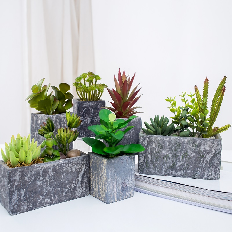 all\'ingrosso pianta succulente artificiale in vaso