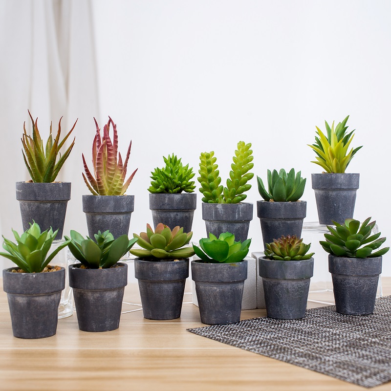 all\'ingrosso pianta succulente artificiale in vaso